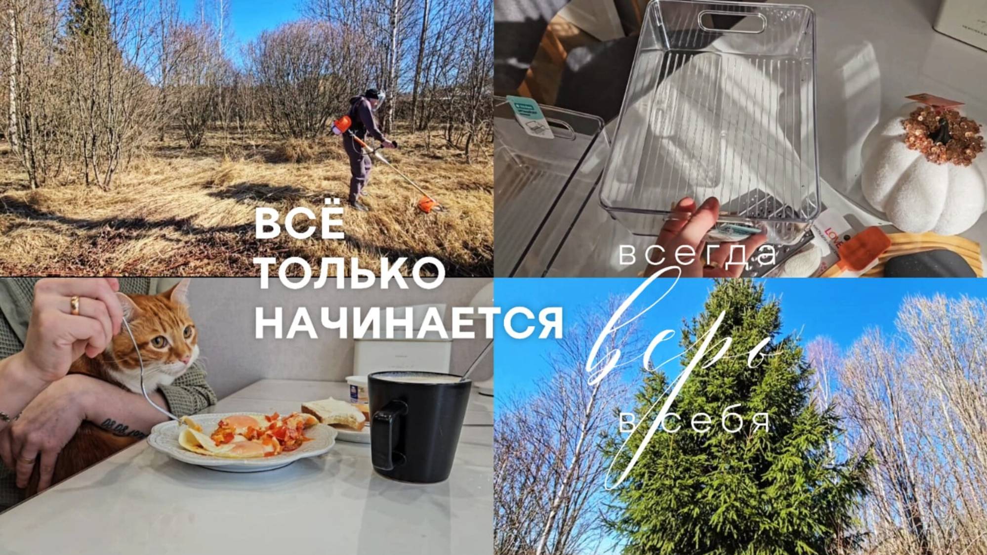 Мы купили земельный участок | Начинаем строительство дома | Завтрак с Зефиркой | Покупки из FixPrice смотреть онлайн