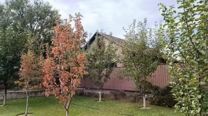 Не нужен такой урожай, сделай все деревья на одном уровне.