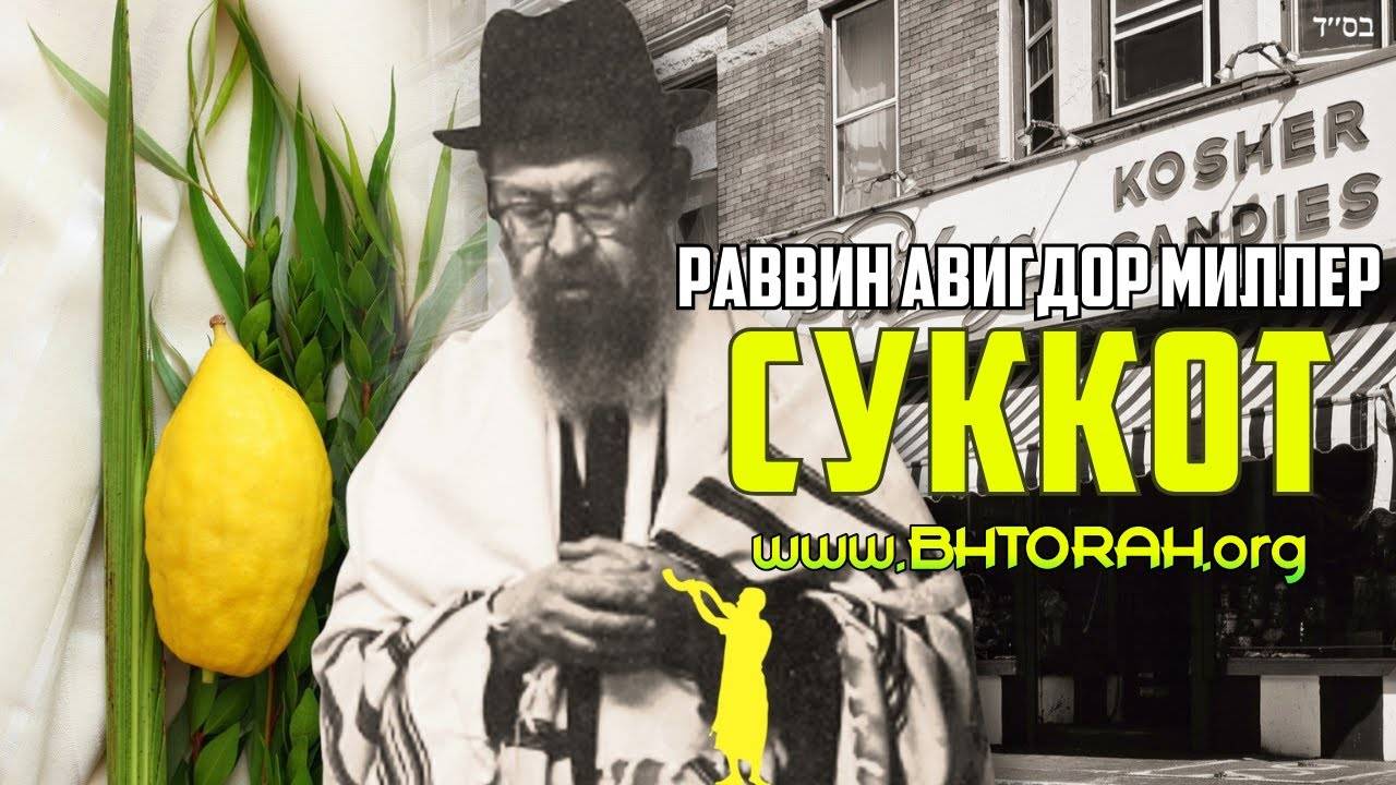 Обычай Суккота раввина Авигдора Миллера зц"л (זצ"ל)
