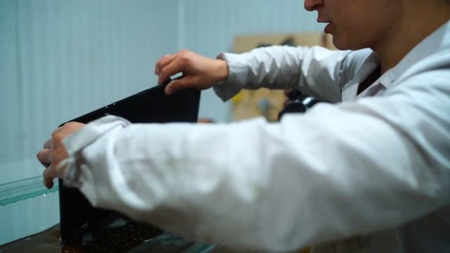 ТЕЛЕВИЗОР И ДРУГАЯ ТЕХНИКА В ПОДСОЛНЕЧНОМ МАСЛЕ! смотреть онлайн