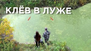 ЛУЖА У РУЧЬЯ ВЫДАЁТ...ВЕСЬ КРУПНЯК на ПОПЛАВОК! Хапок на удочку. Рыбалка на карася 2025