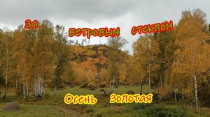 Осень из окна автомобиля.