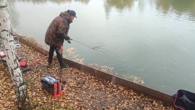 WhatsApp Video 2025-10-10 at 10.04.58 смотреть онлайн