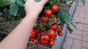 Орегонская весна