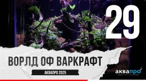 29. Ворлд Оф Варкрафт. #АкваПро