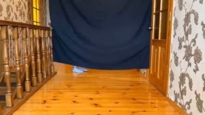 7 пранков на котами