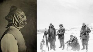 К полярникам из расщелины вышли странные существа. 1960 год.