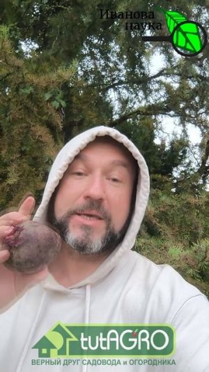 ВЫПИВАЮ ПОЛ СТАКАНА В ДЕНЬ и ТАБЛЕТКИ НЕ НУЖНЫ! Как правильно лечить высокое давление свеклой.