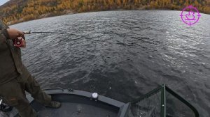 Пробная поездка на лодке Алютон. Рыбалка в отвес на берша.