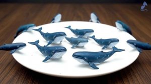 ASMR. Миниатюрные морские животные