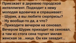 Про городского интеллигента и молодую вдовичку. Сборник анекдотов
