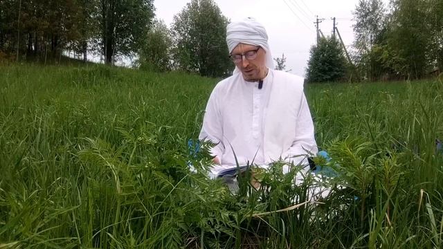 _Мадхурия кадамбини_ введение. смотреть онлайн