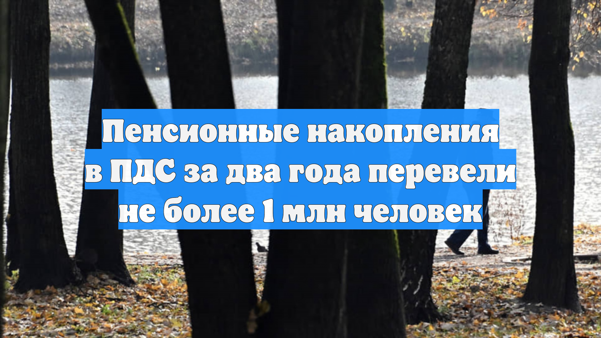 Пенсионные накопления в ПДС за два года перевели не более 1 млн человек