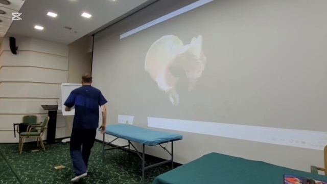 Семинар в г.Пятигорск-2/3ступень,сентябрь 2025 (часть 29)- говорим о тазобедренном отделе смотреть онлайн