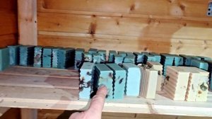 МОЯ МЕЧТА ПРИШЛА КО МНЕ ДОМОЙ!