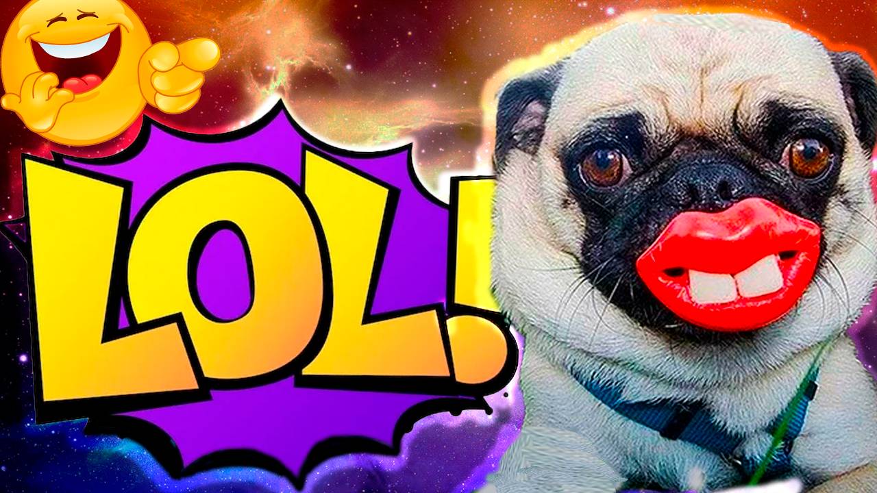 ЛУЧШИЕ ПРИКОЛЫ ОКТЯБРЬ 2025 | ПОПРОБУЙ НЕ ЗАСМЕЯТЬСЯ | ТЕСТ НА ПСИХИКУ | РЖАКА ДО СЛЕЗ смотреть онлайн