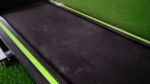 НЕОЖИДАННАЯ РЕАКЦИЯ КУРИЦЫ НА ЗЕРКАЛЬНЫЙ ЛАБИРИНТ!