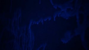 ОСВЕТИЛИ КОМНАТУ СВЕТЯЩЕЙСЯ ЖИДКОСТЬЮ!