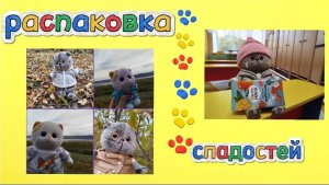 СЛАДКАЯ ДОСТАВКА 🚚 ДЛЯ БАСИКОВ🩷РАСПАКОВКА СЛАДОСТЕЙ 🎁
БАСЯТА #КОТ БАСИК #БАСЯТА