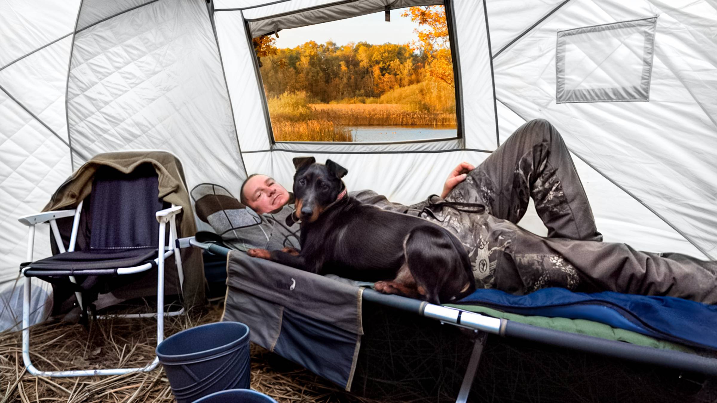 ДРУЖБА ЧЕЛОВЕКА и СОБАКИ и ЖИЗНЬ в НЕПРОСТЫХ УСЛОВИЯХ. №362 смотреть онлайн