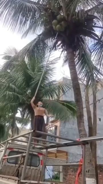 😳Сбор урожая! смотреть онлайн