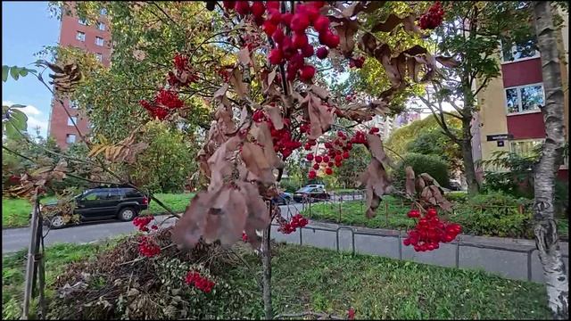 Времена года(Октябрь) смотреть онлайн