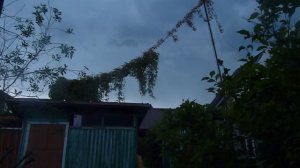 Гроза на даче или гремела чуть-чуть...