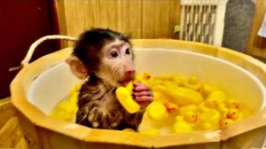 Ничего НЕ МОЖЕМ ПОНЯТЬ, Анфиса во время купания сегодня устроила нам просто истерику(((