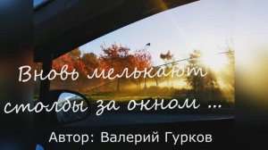 Валерий Гурков  "Вновь мелькают столбы за окном..."  читает Любовь Б.
