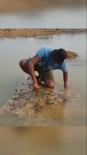 Рыбалка на курицу