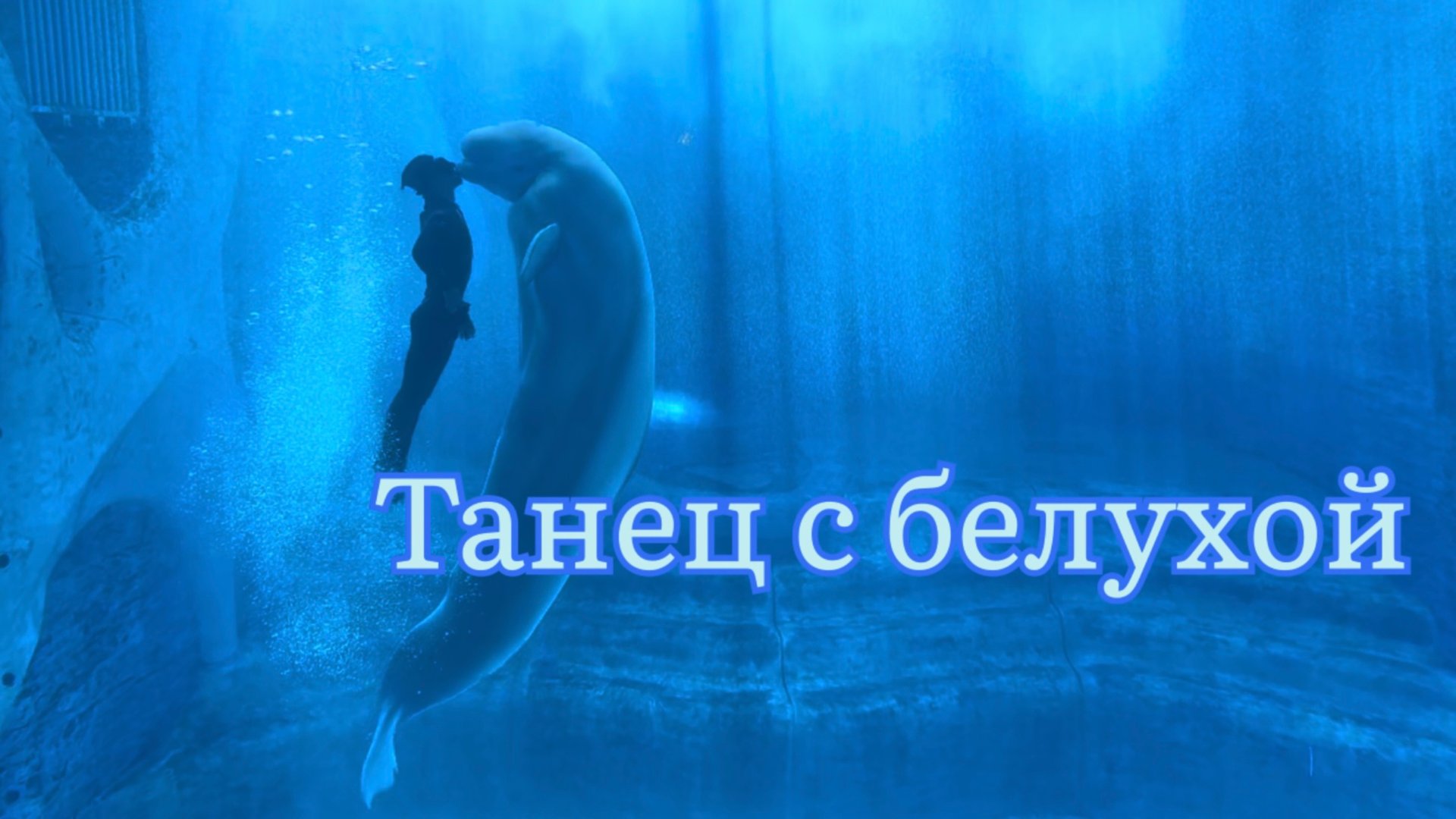 Нежный и трогательный танец с белухой в океанариуме Атлантис на острове Хайнань смотреть онлайн