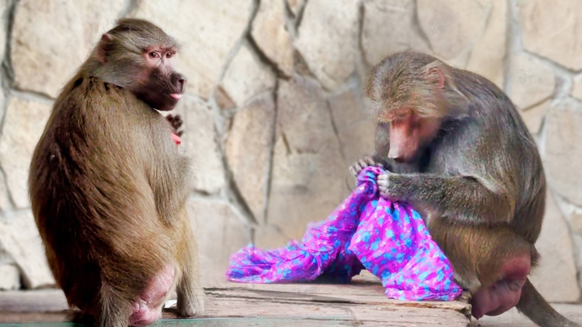 Люся пытается забрать у Лиды платок, но Лида не так проста! От досады Люся бросила в Елисея стаканом смотреть онлайн