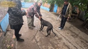 Где-то на юге России