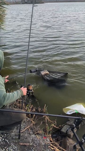 осенний карпфишинг