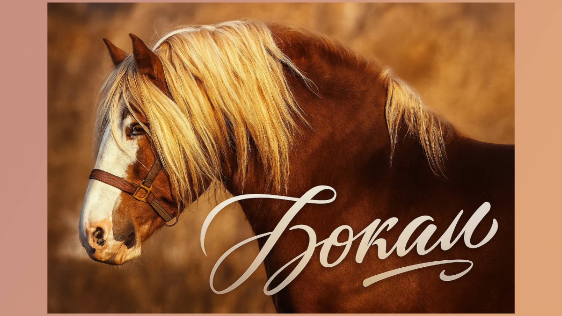 БОКАЛ. Русский тяжеловоз! КЛАСС ЭЛИТА.