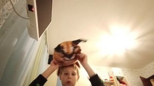 шлёпа