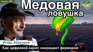 Медовая ловушка. Сельский час #280 (Игорь Абакумов)