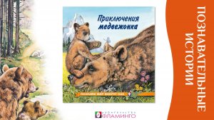 Познаем мир вокруг нас / Приключения Медвежонка