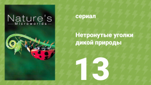 Нетронутые уголки дикой природы 13 серия «Шотландское нагорье» (документальный сериал, 2012)