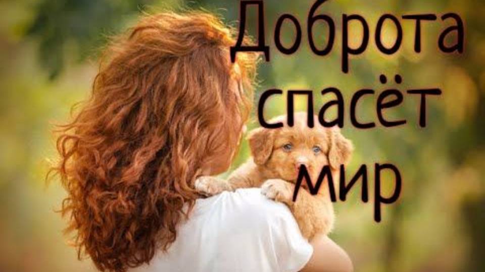 Доброта спасет мир!♥️♥️♥️ смотреть онлайн