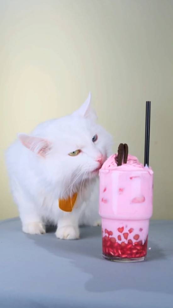 Лучшие коктейли от усатого шеф-повара🍹