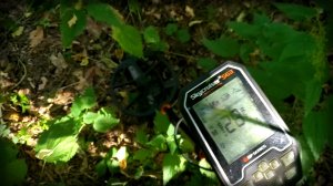 Skycruiser s63. Лесные находки.