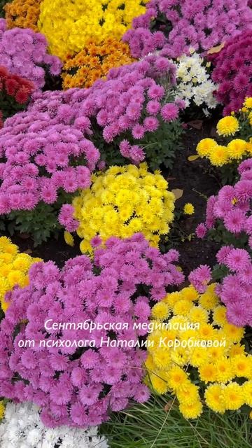 Сентябрьская прогулка #медитация смотреть онлайн