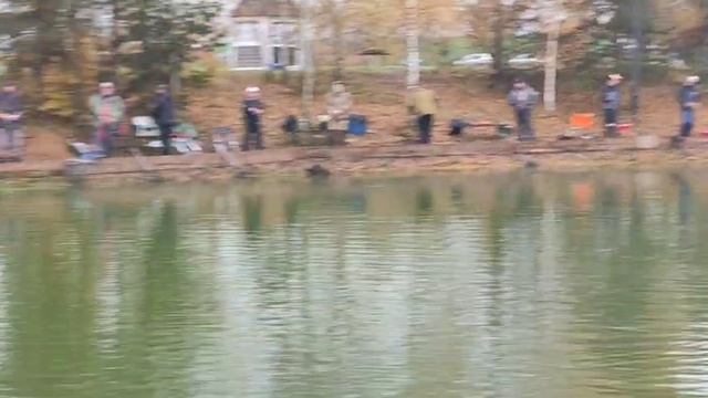 WhatsApp Video 2025-10-11 at 11.03.04 смотреть онлайн