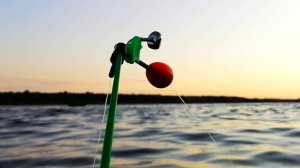 ДОБАВИЛ АРОМАТНЫЕ КОРКИ в прикормку и ЛЕЩ ПОШЕЛ! ВСЕ СПЯТ, ОДИН Я ЛОВЛЮ