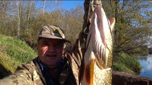 Поймал щуку на 7 кг. Рыбалка с ночевкой.