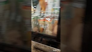 Путешествия и отдых.Аэро-термы в городе Брянск.Серия8 .mp4