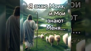 Когда Бог на первом месте, все остальное на своих местах 🙏