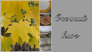 Влог: вязание спицами и крючком, неделя 6.10-12.10.2025 со мной.