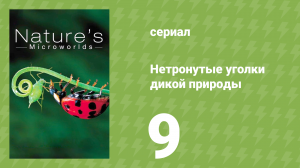 Нетронутые уголки дикой природы 9 серия «Пустыня Намиб» (документальный сериал, 2012)